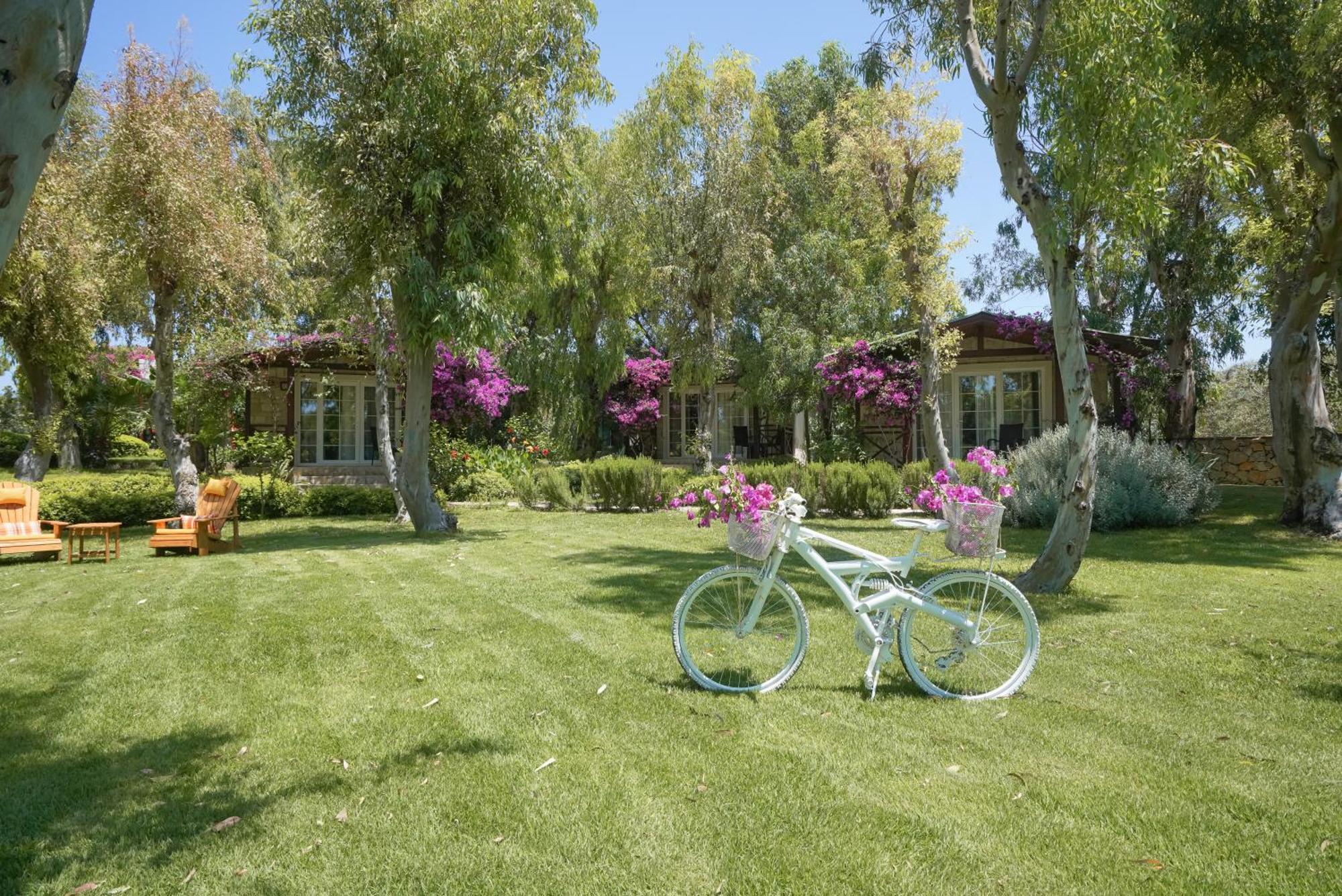Datca Dirik Surf Beach Hotel Εξωτερικό φωτογραφία