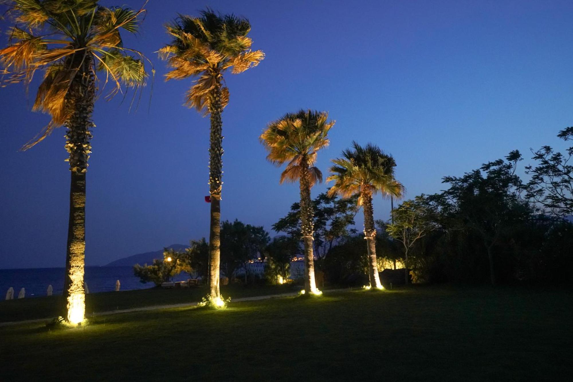 Datca Dirik Surf Beach Hotel Εξωτερικό φωτογραφία